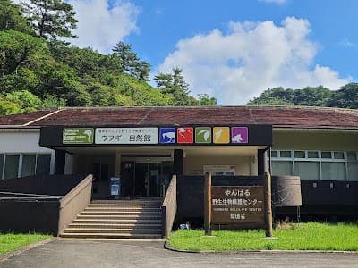 Yanbaru Wildlife Conservation Center